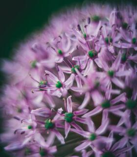 raimond-klavins-o7s5-4-mqla-unsplash