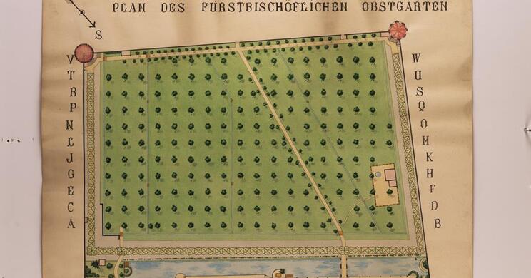 Historischer Plan des Hofburggartens mit regelmäßig angeordneten Baumreihen, Wegen und umgebender Mauer.